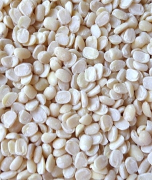 urad mogar