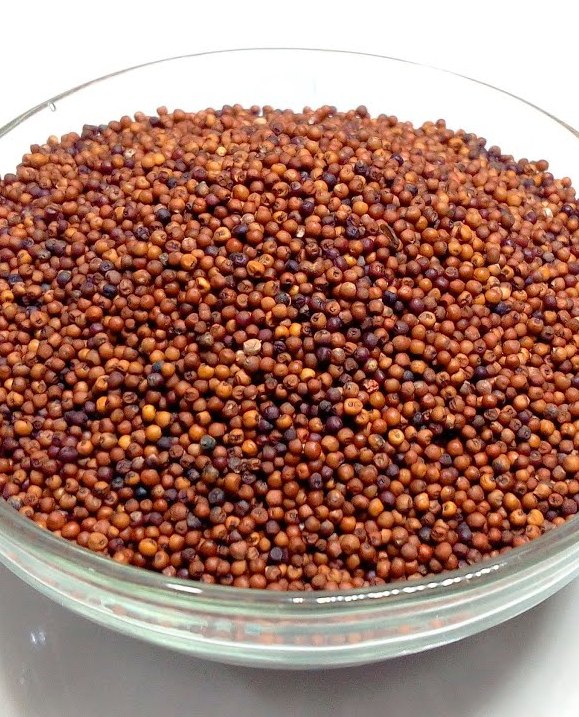 ragi