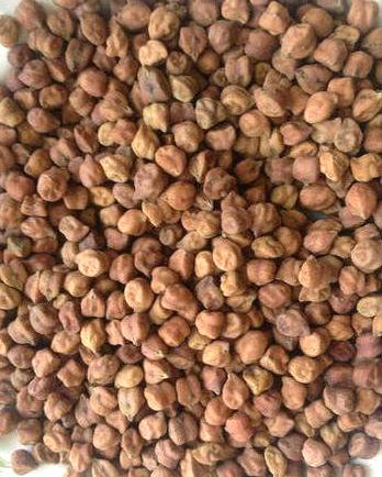 chana desi