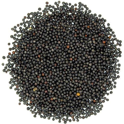 Sarso dana ( mustard seeds)