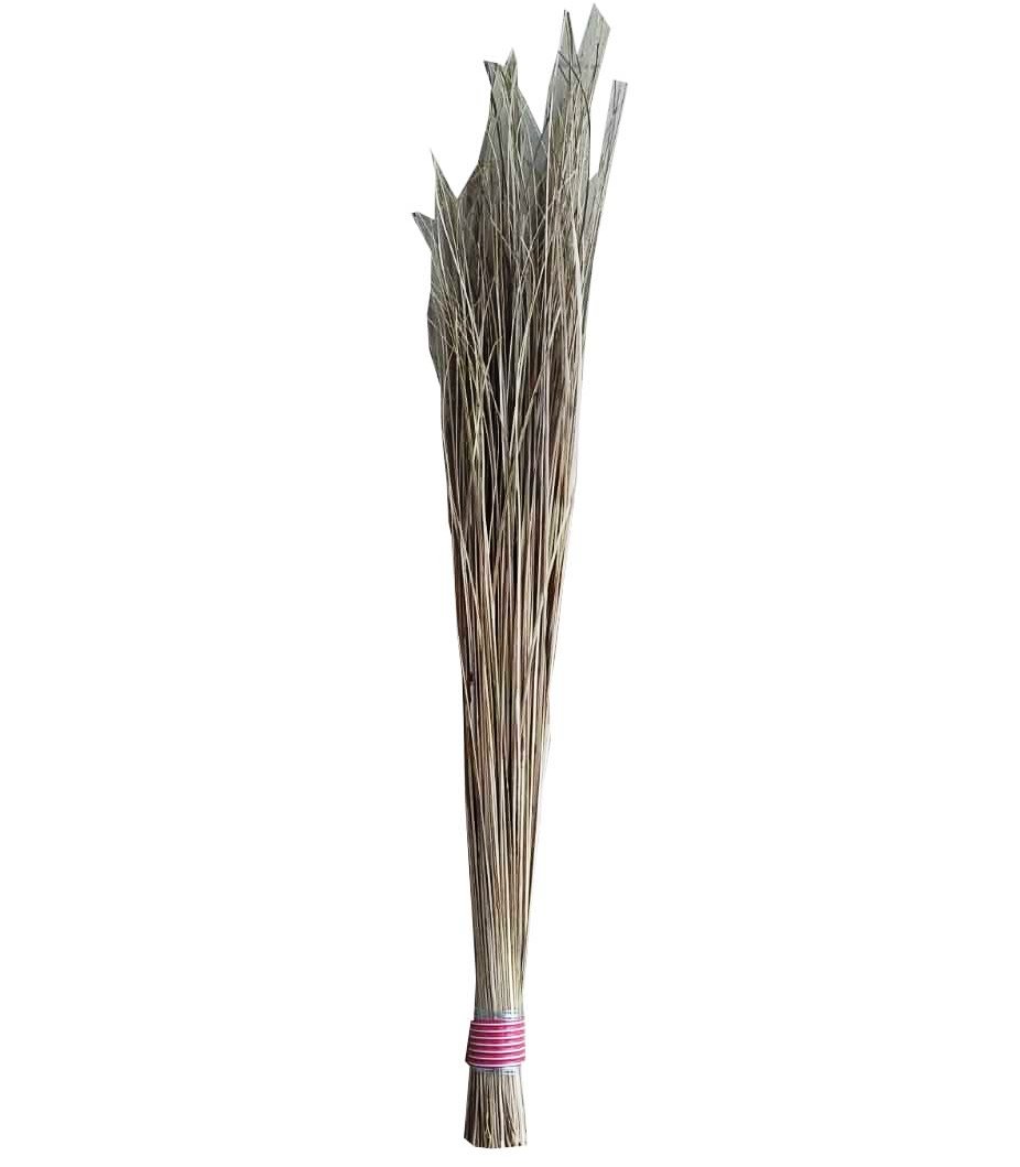 Jhadu Seek