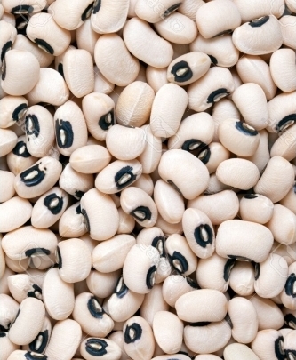 chawla seeds 